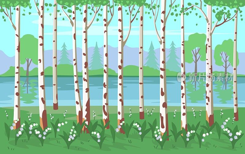 Birch grove with lilies of the valley and a river. Vector background